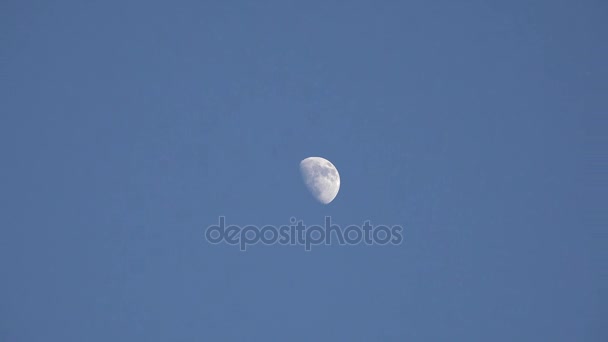 Mezza luna durante il giorno — Video Stock