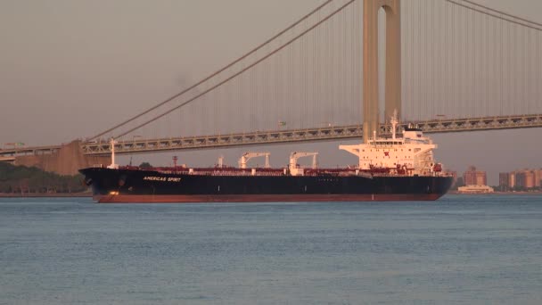 船用货轮和悬索桥 — 图库视频影像