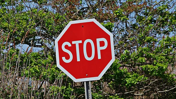 Stop Sign Traffic Laws