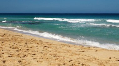 Doğanın stok fotoğraf