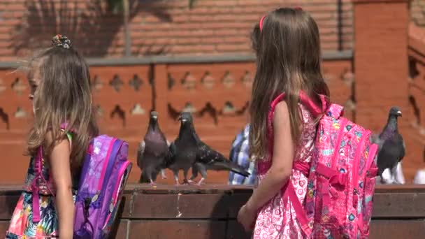 School Children And Pigeons — Stock Video