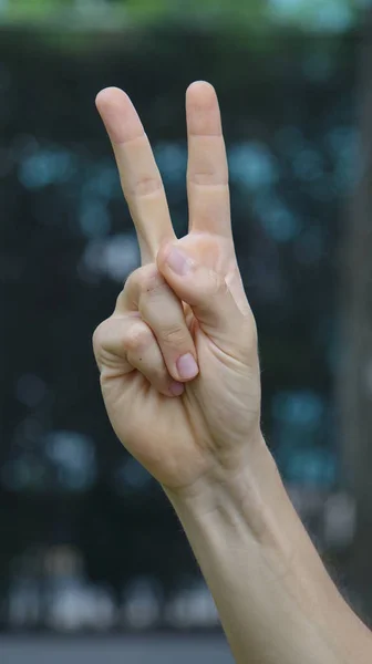 Hand Counting Two Or Peace Sign — Stock Photo, Image