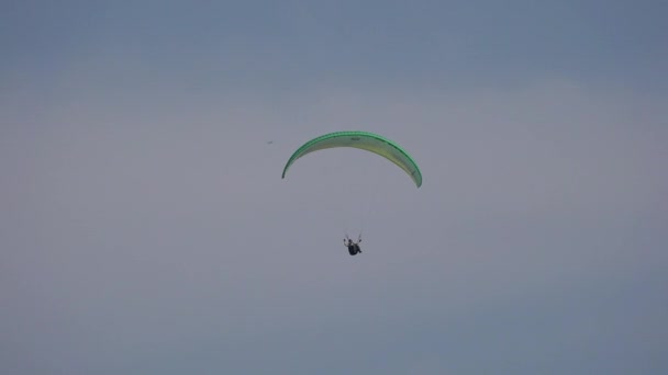 Beau Adolescent Hispanique Garçon — Video