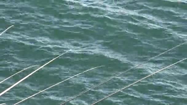 Canne da pesca e acqua — Video Stock