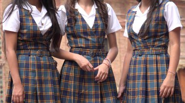 Kız öğrenci üniforma veya etek