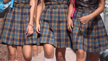 Okul üniformaları ve elbise kodları