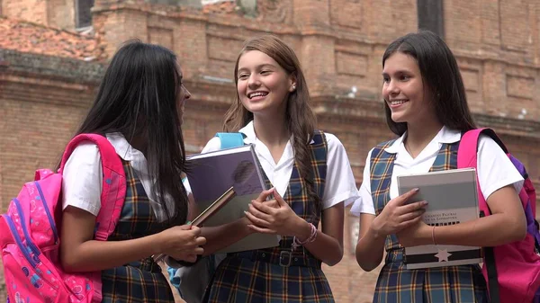 Adolescentes escola meninas com livros didáticos — Fotografia de Stock