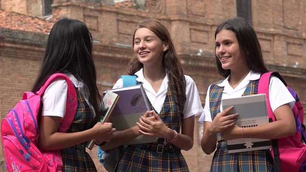 Liseli kızlar ders kitapları Holding