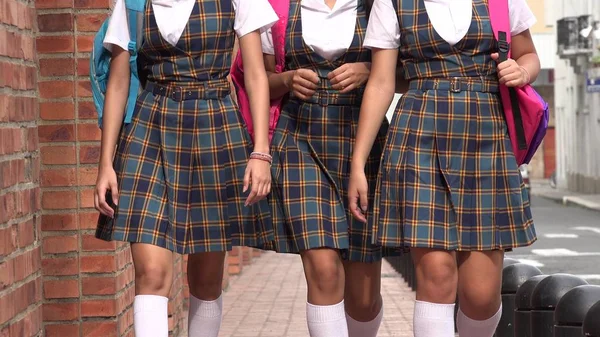 Erkek öğrenciler okul üniformaları ve Bookbags