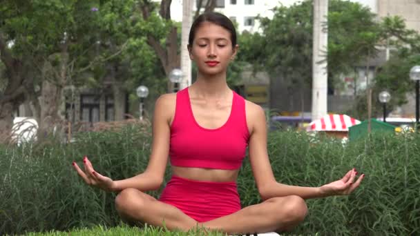 Meditasi Perempuan Dan Yoga — Stok Video