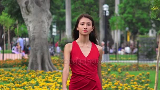 Joven mujer caminando en el parque — Vídeos de Stock