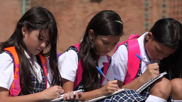 Diverse studentesse che studiano indossando uniformi scolastiche — Foto Stock