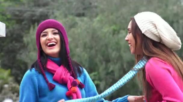 Веселые молодые женщины зимой — стоковое видео