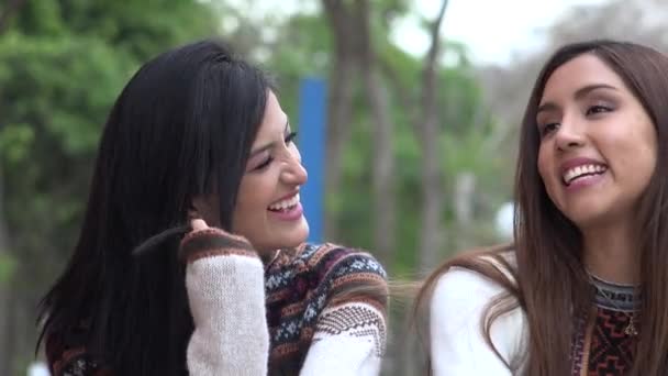 Женщины-латиноамериканцы разговаривают с друзьями — стоковое видео