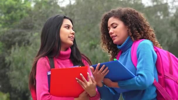Друзі латиноамериканського дівчина студентів — стокове відео