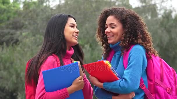 Alunos felizes do ensino médio feminino — Vídeo de Stock