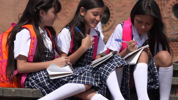 Estudante Estudando Vestindo Uniformes Escolares — Fotografia de Stock