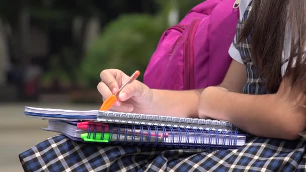 Estudiante femenina diversa Estudiando — Vídeo de stock