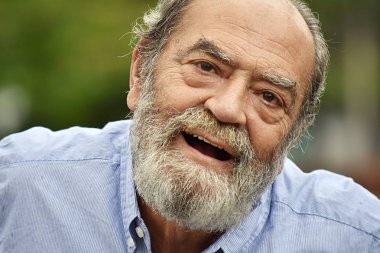 Mutlu sakallı yaşlı erkek büyükbaba