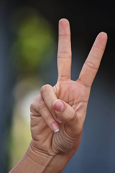 Main féminine numéro deux ou paix — Photo