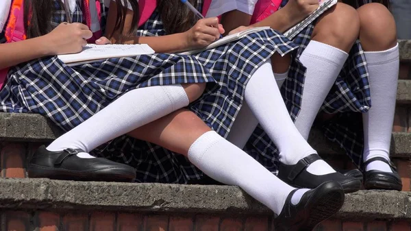 Σχολείο Παιδιά Φορούν Φούστες Και Λευκές Κάλτσες — Φωτογραφία Αρχείου