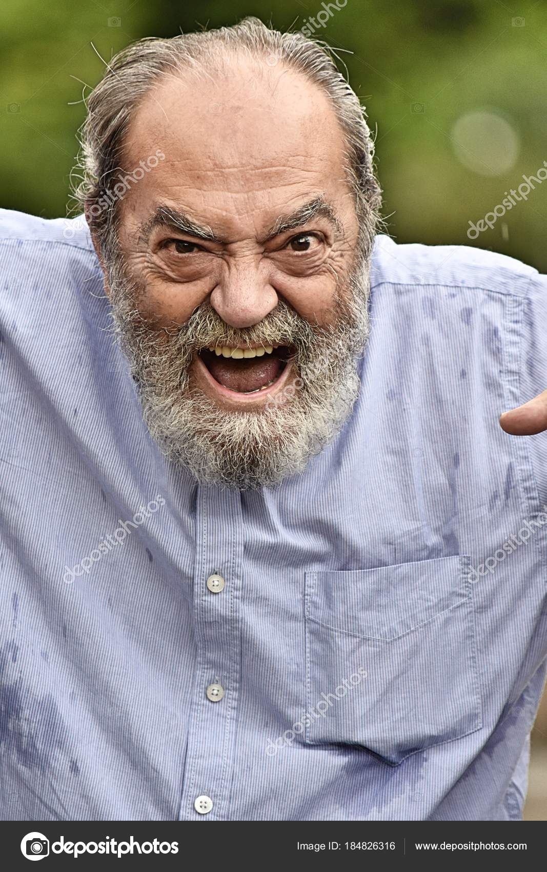 Aine Fou Image Libre De Droit Par Dtiberio C