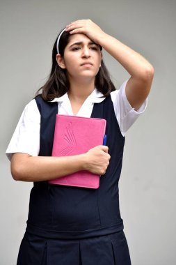 Stresli Katolik Kolombiyalı kişi defter ile