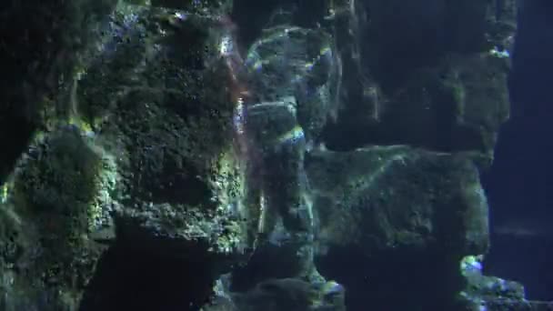 Reflecties In onderwater rotsformatie — Stockvideo