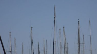 Yelkenli gemi direkleri Harbor