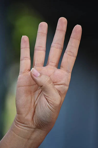 Female Hand Number Four — Stock Photo, Image