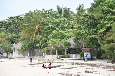 Yeşil Tropikal Ağaçlar Doğa Sahnesi