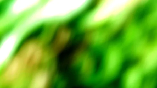 Zöld Puha Maszat Absztrakt Háttér — Stock Fotó