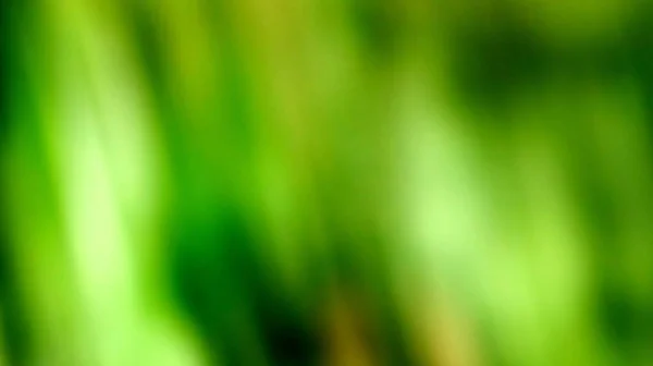 A Green Motion Blur Abstract Background