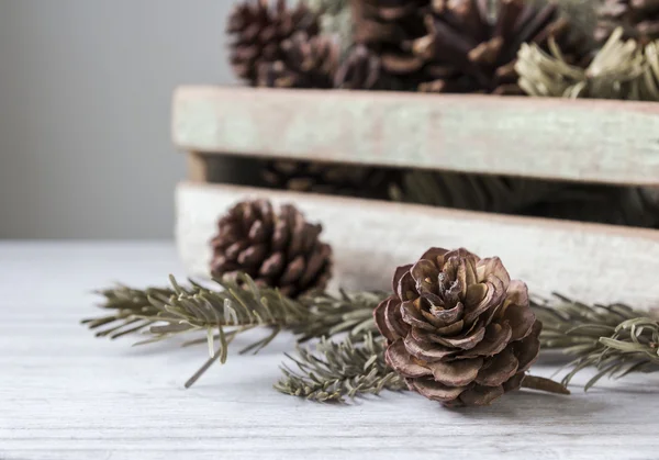 Pine cones on wooden background