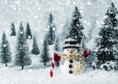 Kardan adam kışın çam ormanda