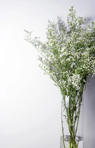 Cutter gypso en caspia bloemen in vaas — Stockfoto