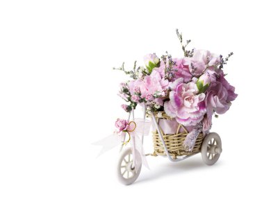 Beyaz arka plan üzerinde bisiklet sepette pembe canation çiçek