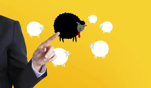 Pensez concept différent de femme d'affaires en sélectionnant des moutons noirs sur fond jaune — Photo