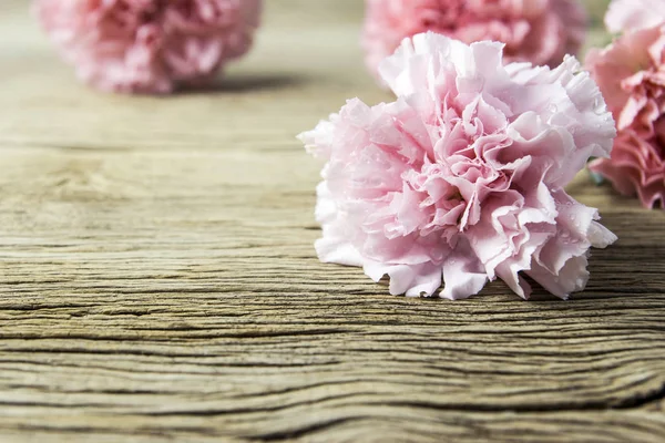 Carnation-roze bloemen op oud hout — Stockfoto