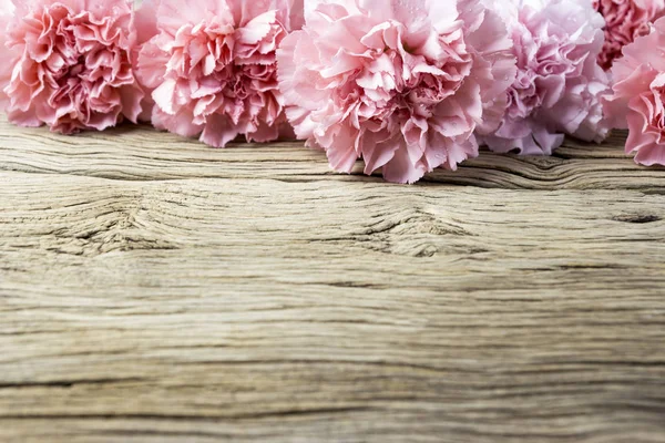 Carnation-roze bloemen op oud hout — Stockfoto