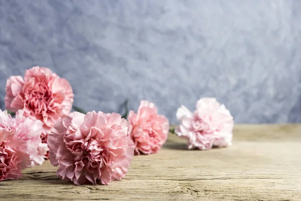 Moeders dag concept van carnation-roze bloemen op oud hout — Stockfoto