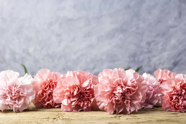 Pink carnation flowers on old wood  with copy space — Stock Photo, Image
