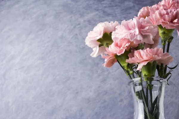 Pink carnation flowers in clear bottle — Stock Photo, Image