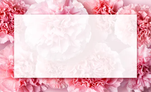 Moeders dag concept van roze carnation bloemen achtergrond met kopie ruimte — Stockfoto