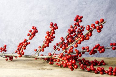 Noel dekorasyon çobanpüskülü verticillata veya winterberry holly eski ahşap