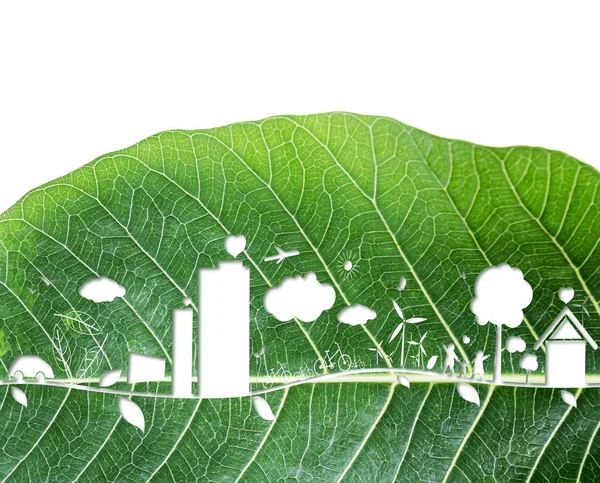 Концепция экологии на фоне свежего зеленого листа — стоковое фото