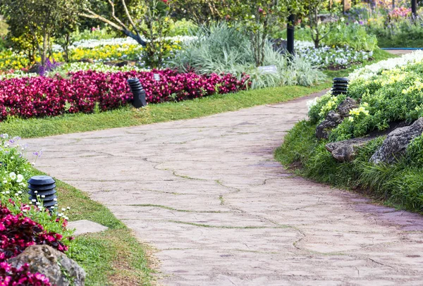 Chemin dans le jardin de fleurs — Photo