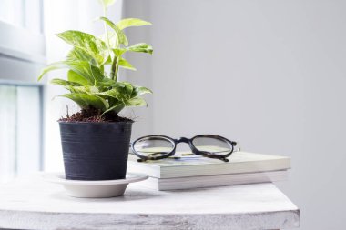 Kopya alanı ile yatak odasında altın pothos ev ve Bahçe Dekorasyonu