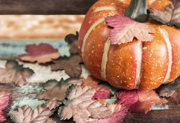 Erntedank und Halloween-Konzept von Kürbis mit Ahornblättern — Stockfoto