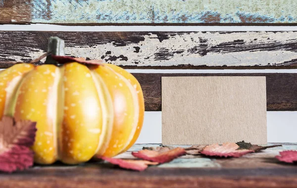 Erntedank und Herbstkonzept aus braunem Papieranhänger und Kürbis mit Ahornblättern auf Holzstuhl — Stockfoto